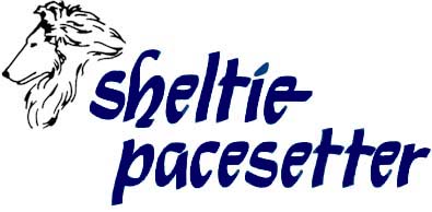 Sheltie Pacesetter